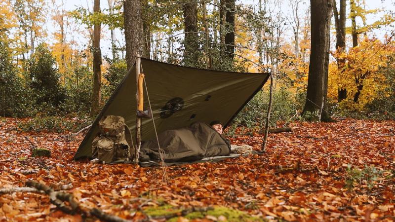 Tarp shelter between two trees