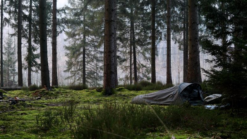 The bivy sack in the misty morning light among the pines
