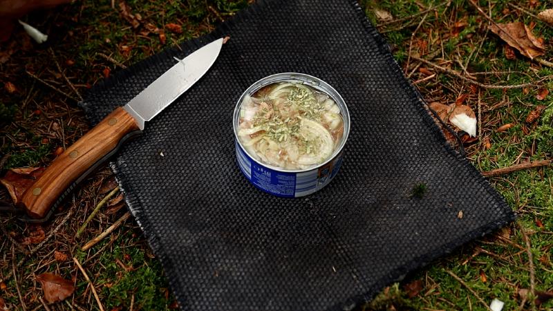 Tuna can with onions and knife – the ingredients