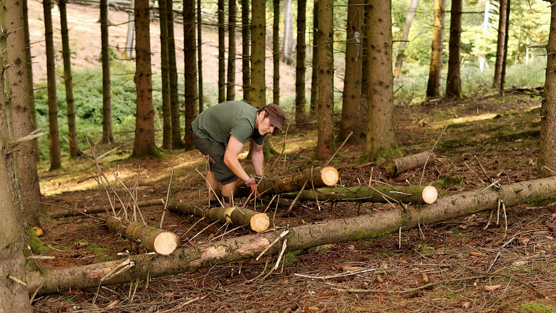 Stämme werden für das Bushcraft-Bett am Hang auf Länge gesägt