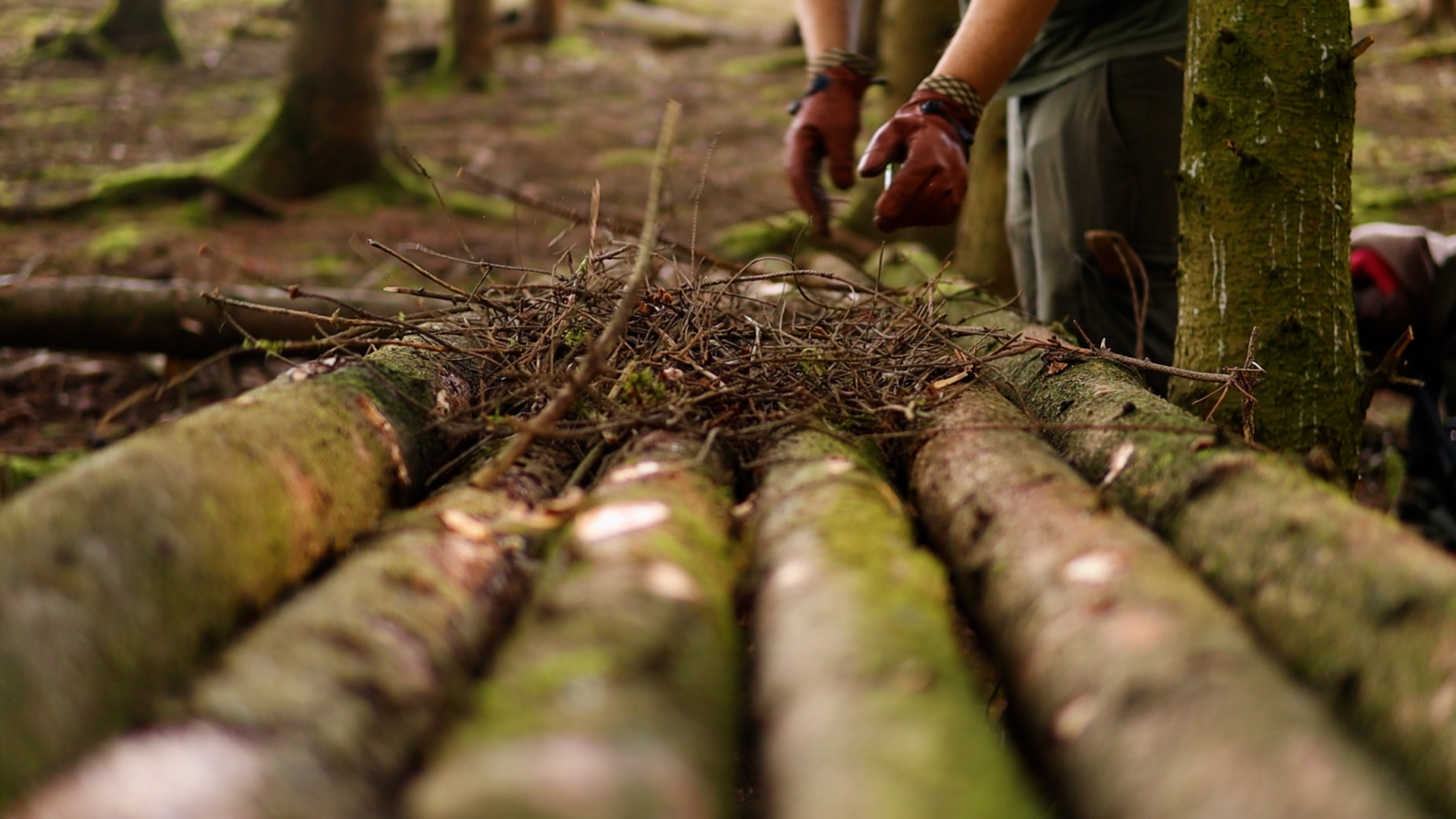 Nahaufnahme beim Vorbereiten des Lagers und der Liegefläche im Wald
