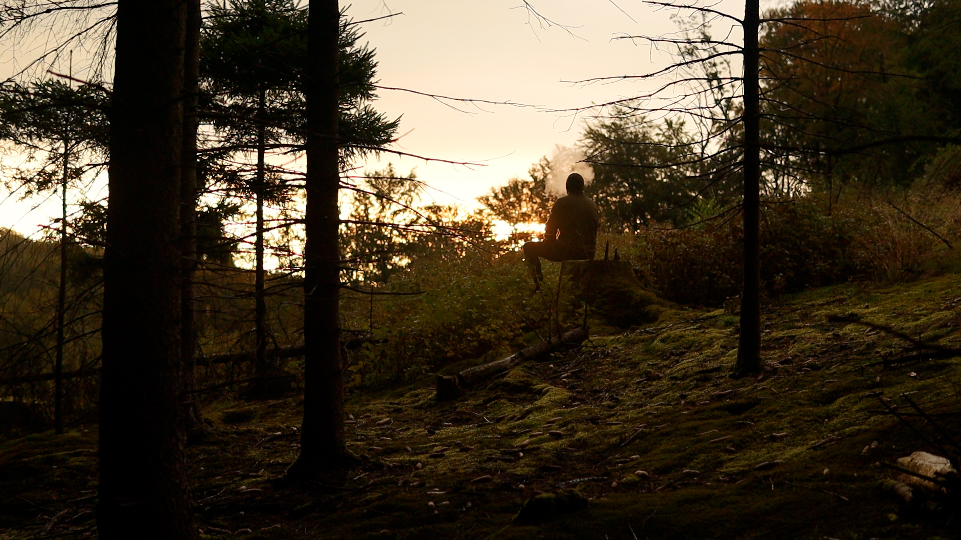 Silhouette im Sonnenuntergang am Waldlager vor der Nacht