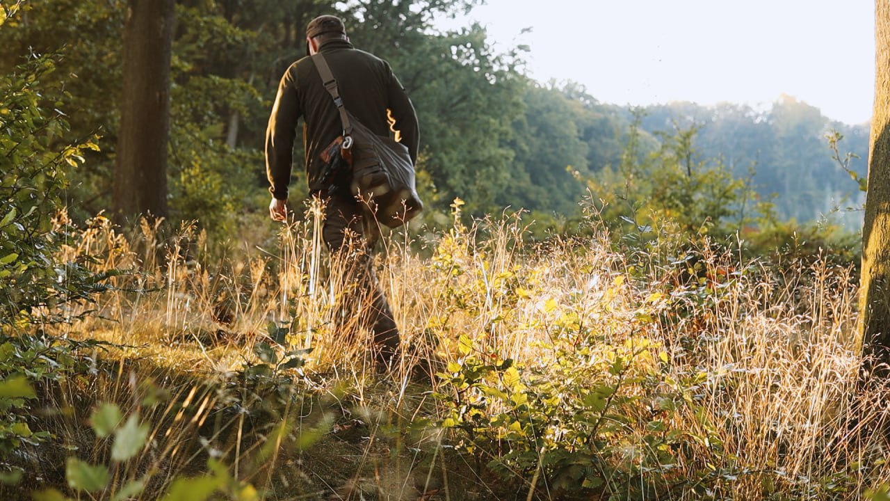 Wanderung durch den herbstlichen Wald