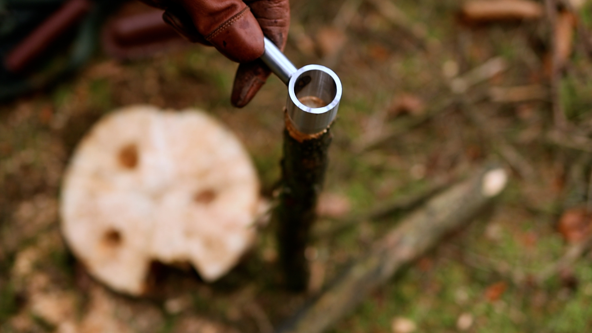 Ast wird mit dem Auger verjüngt für eine passgenaue Verbindung