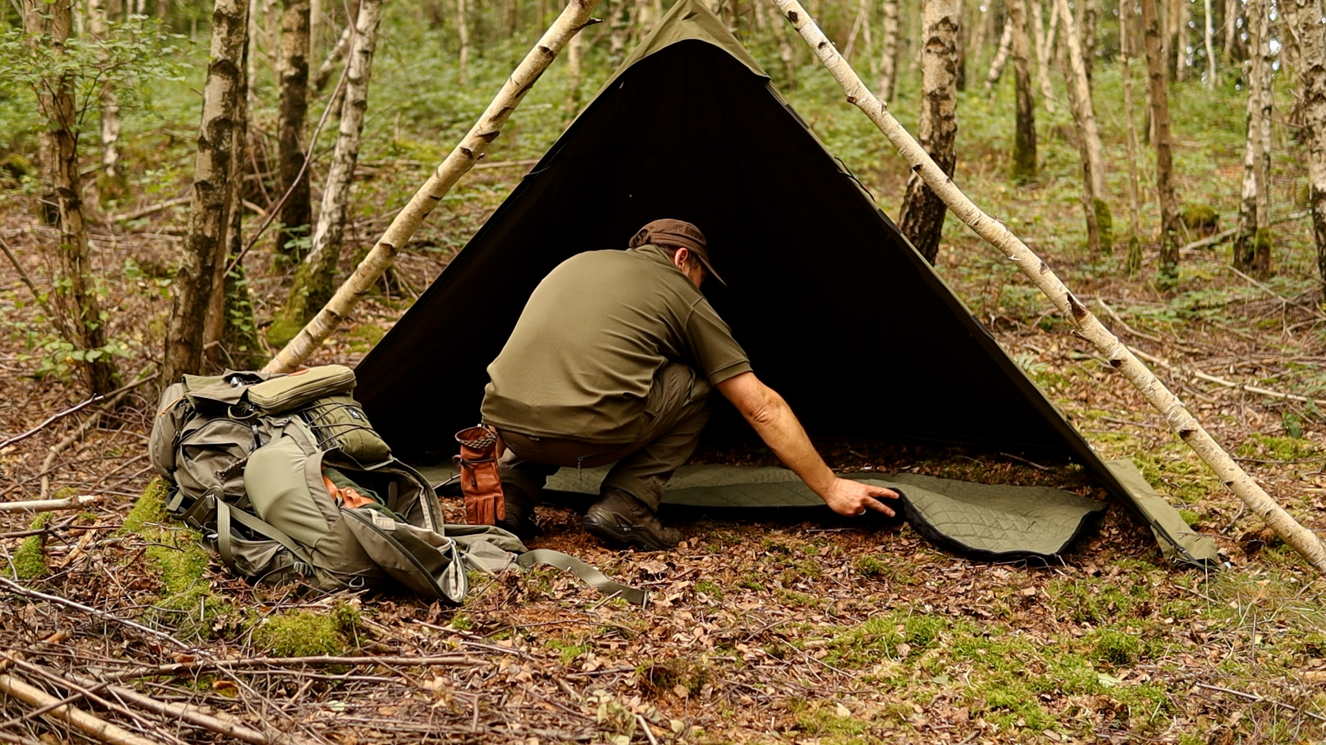 Fertig aufgebautes olivgrünes Lavvu-Zelt im Birkenwald