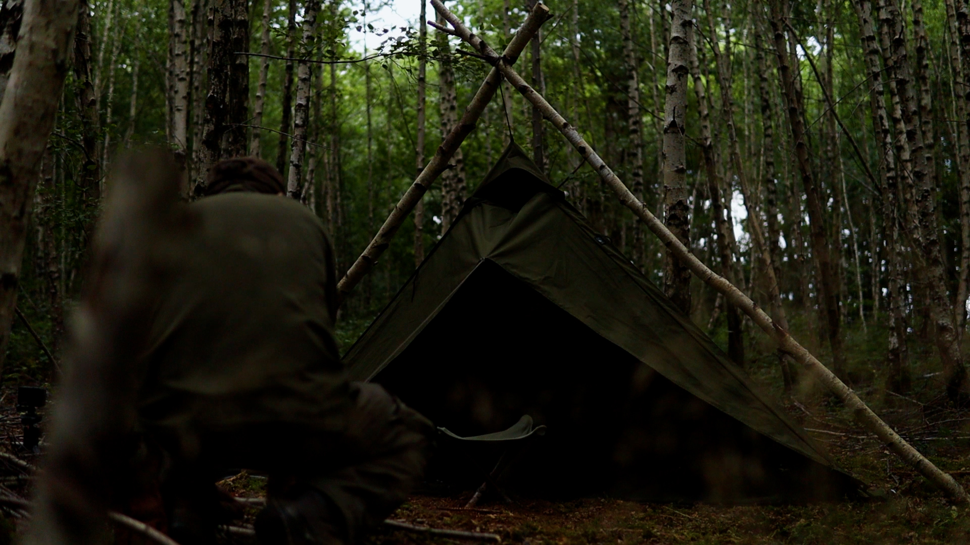 Warme Abendstimmung am Lagerplatz im Wald