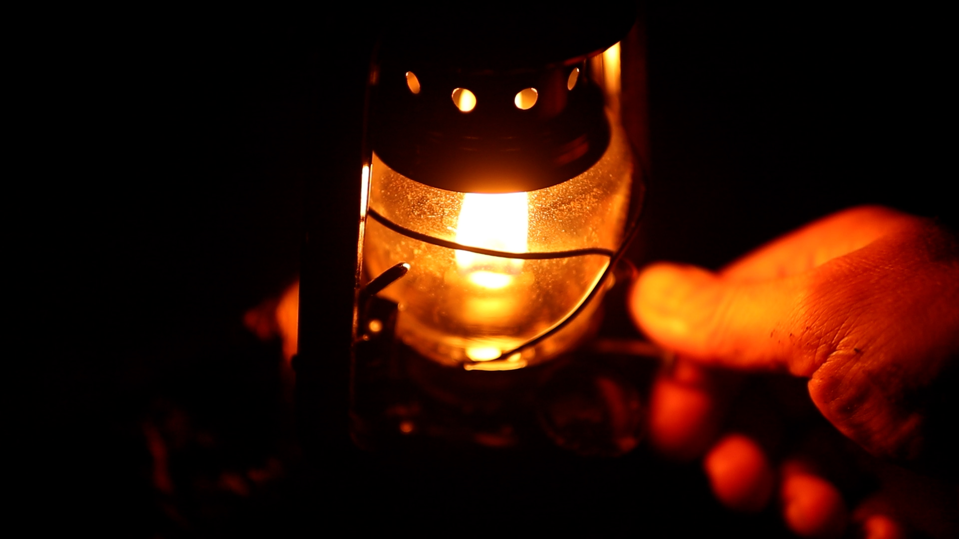 Gemütlicher Abend am Lagerfeuer im Birkenwald