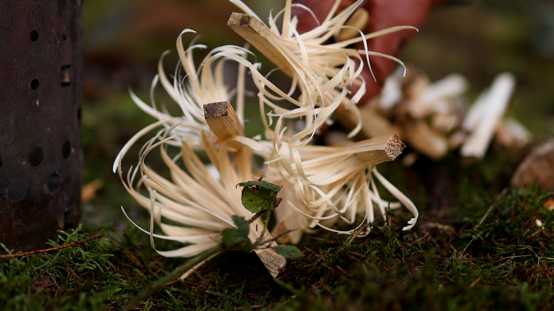 Feathersticks liegen trocken bereit neben Feuerstahl und Zunder