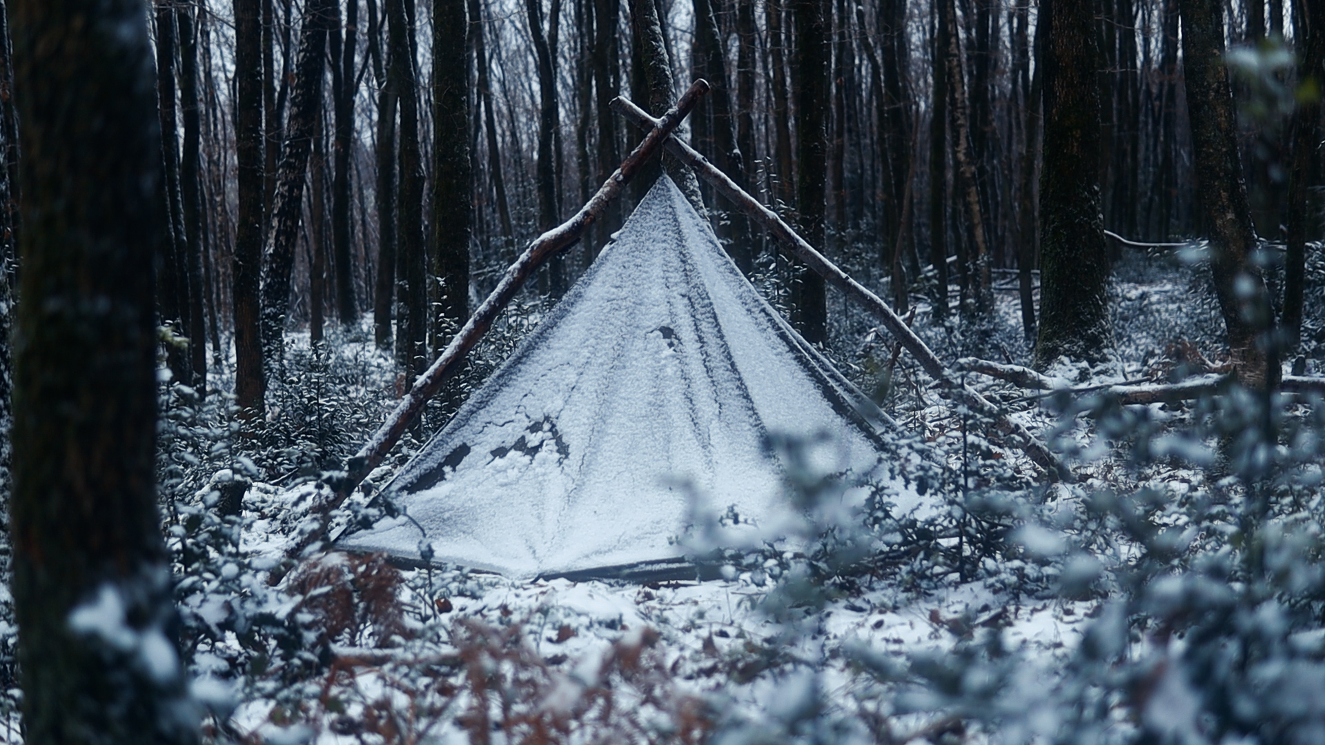 Das Shelter – Bei Nacht – Allein im Winterwald — Canvas-Poncho und schwedisches M40
