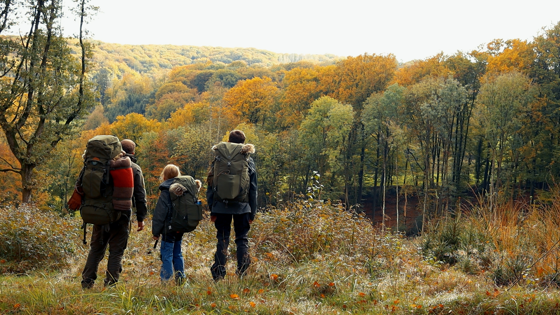 Familie mit Rucksäcken blickt in den bunten Herbstwald