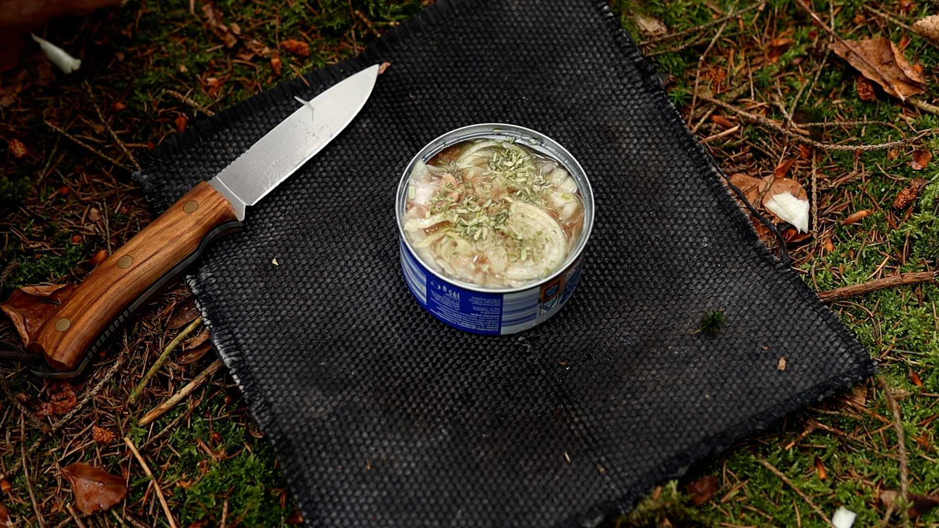 Thunfischdose, frische Zwiebeln und Messer auf einem Holzbrett im Wald
