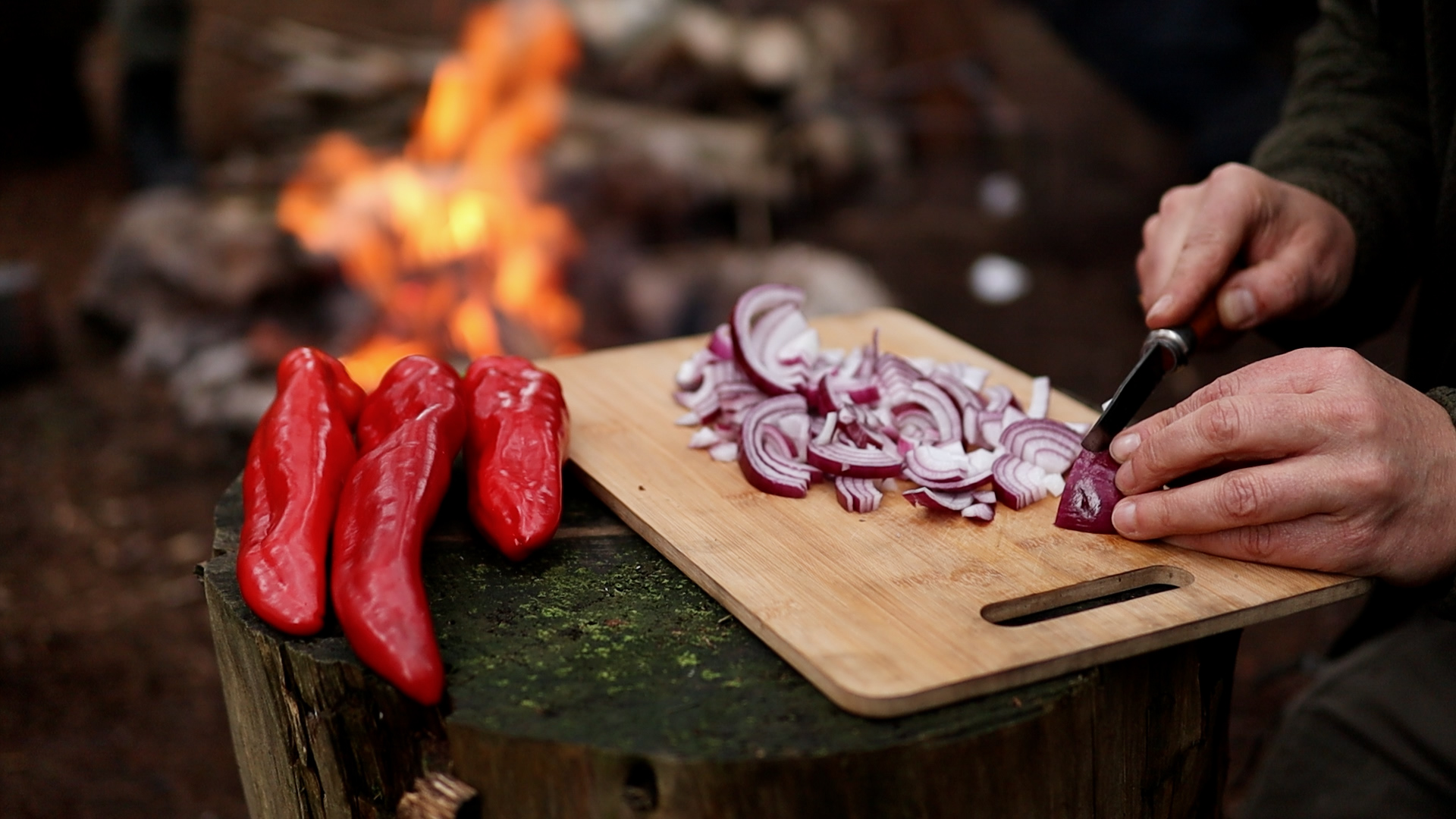 Paprika Zwiebeln Nahaufnahme – Wild Campen mit Freunden – Wraps, Pilze sammeln und Wasser