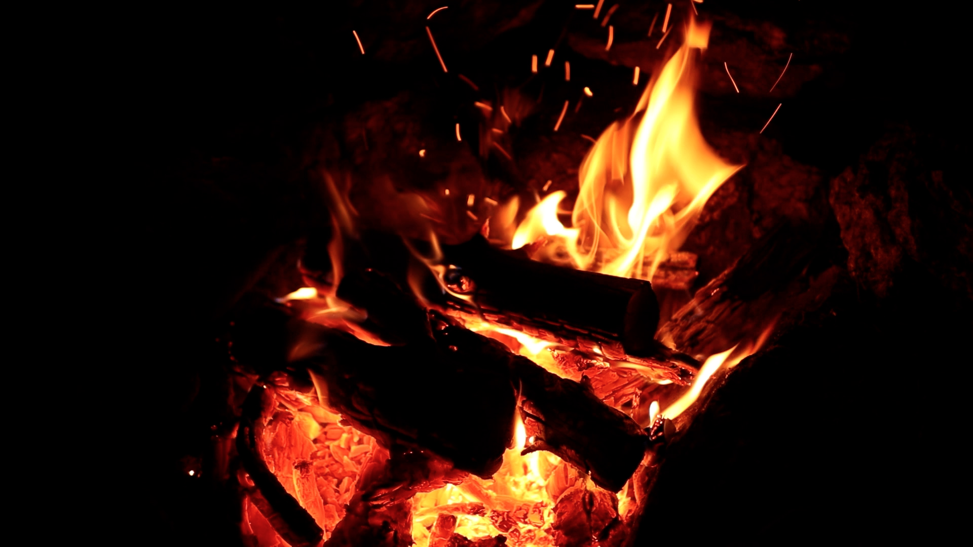 Am Lagerfeuer – Bei Nacht – Wild Campen mit Freunden – Wraps, Pilze sammeln und Wasser