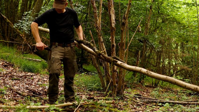 Person zieht einen abgestorbenen Birkenstamm aus dem Unterholz