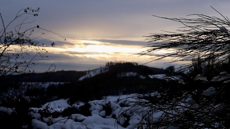 Sonnenuntergang über der verschneiten Winterlandschaft hinter einem Kiefernzweig