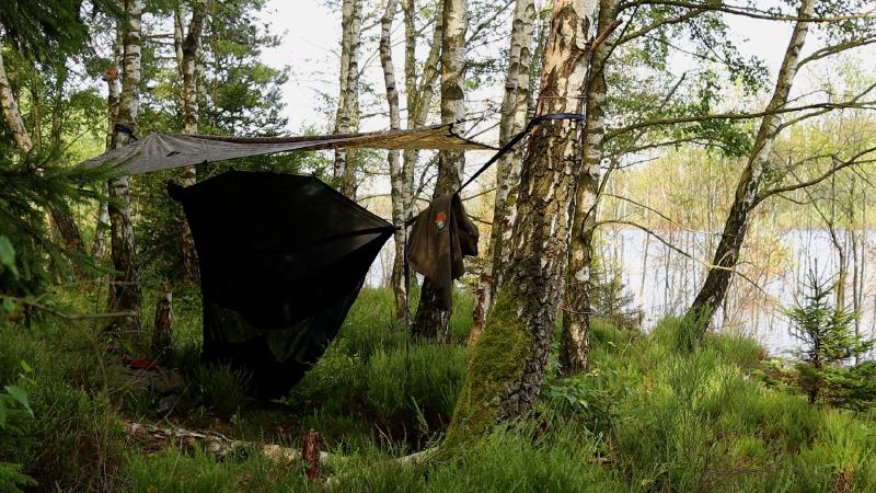 Hängematte aufgebaut zwischen Birken am See